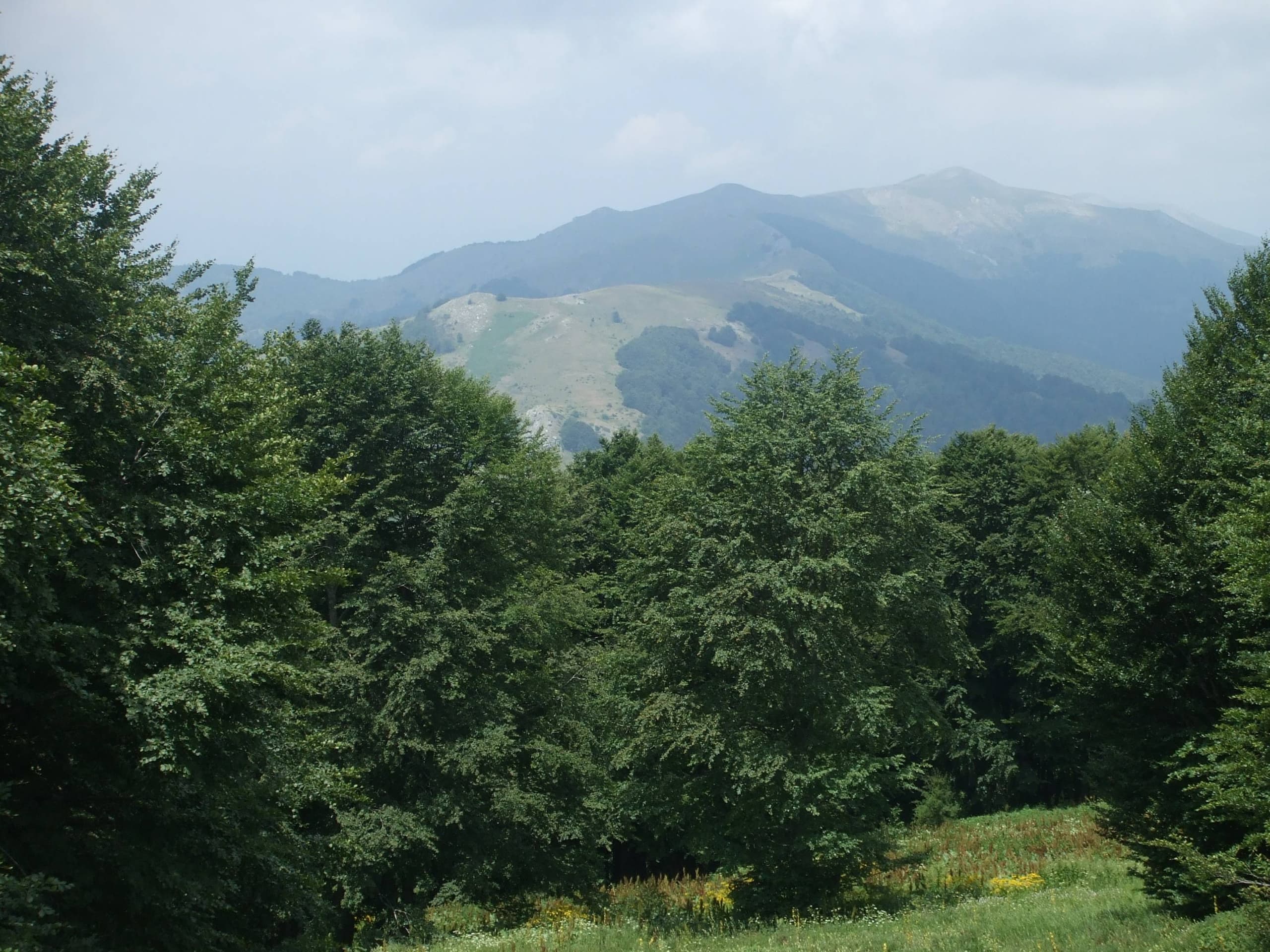 Прошетки и планинарски патеки
